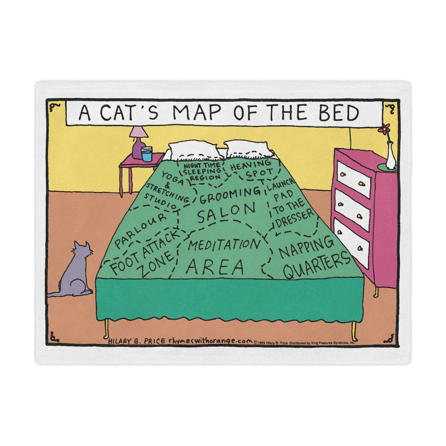 RHYMES WITH ORANGE Cat Map Minky Blanket