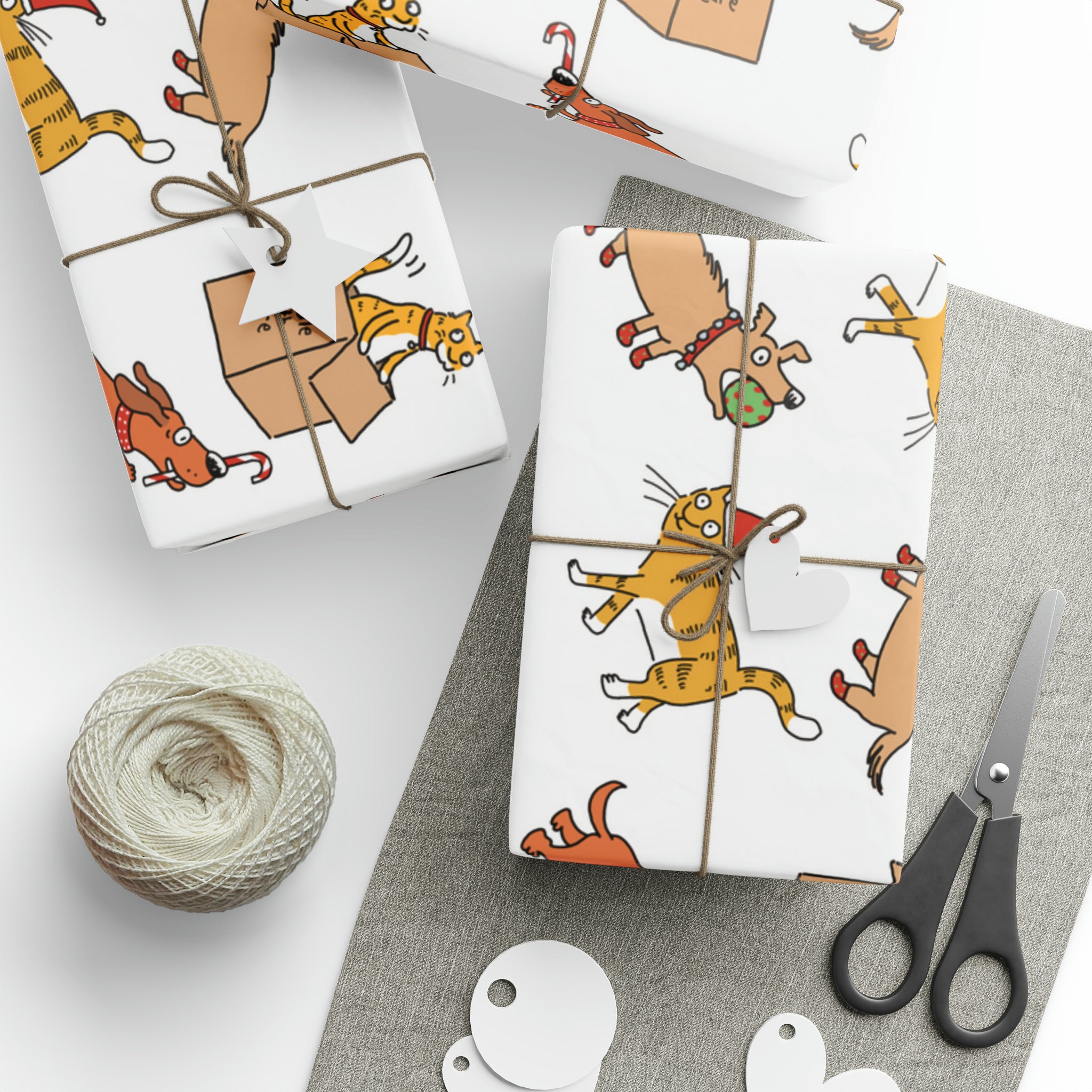 Cat Poster Rythme Rhymes With Orange