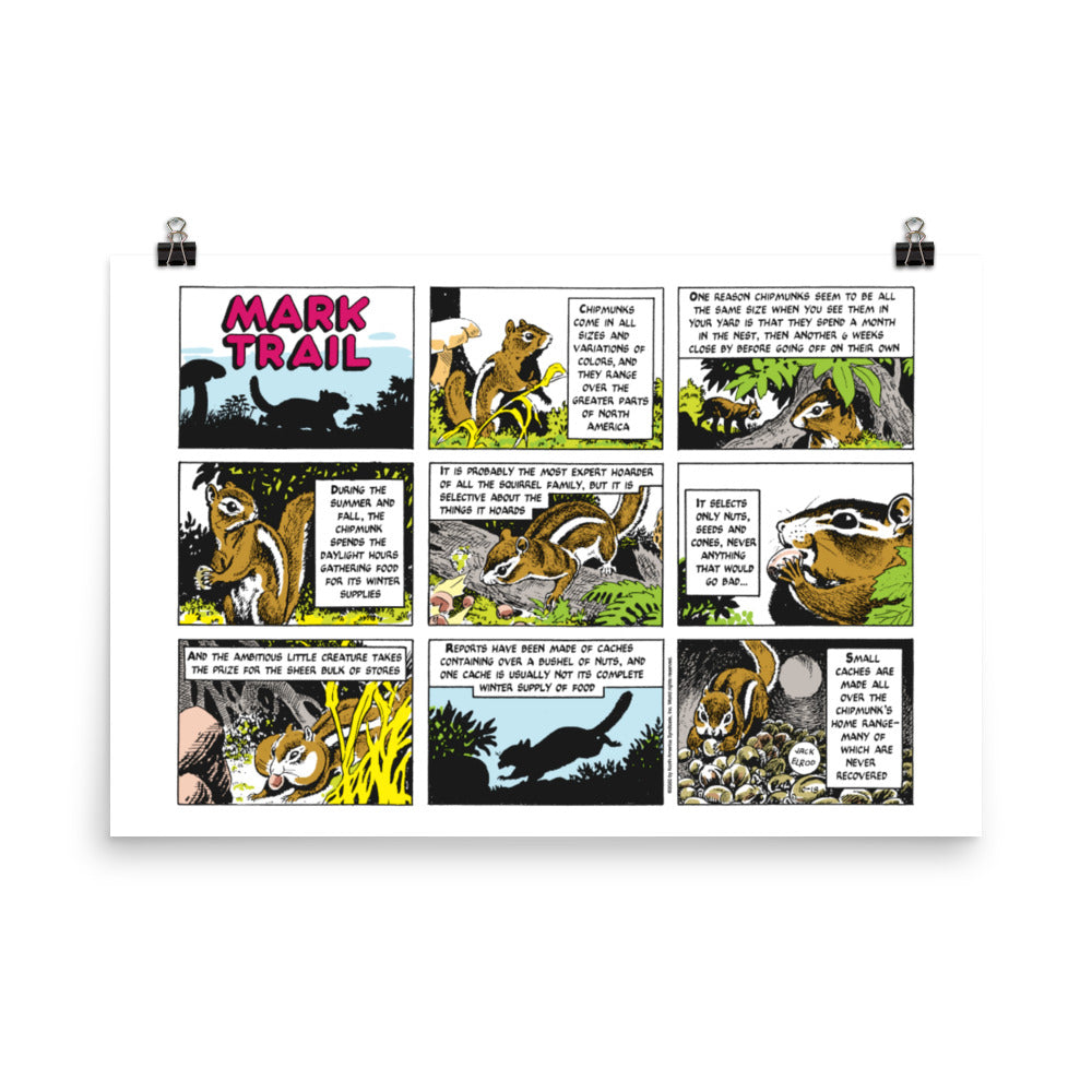 Mark Trail Photo paper poster